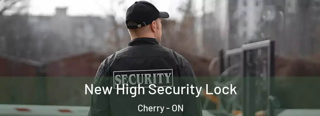  New High Security Lock Cherry - ON