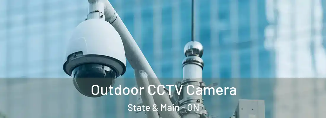  Outdoor CCTV Camera State & Main - ON