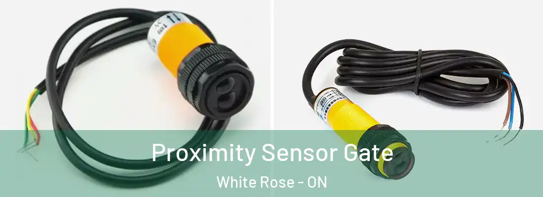  Proximity Sensor Gate White Rose - ON