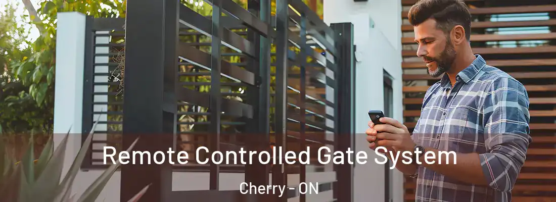  Remote Controlled Gate System Cherry - ON
