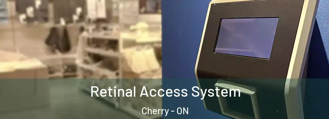  Retinal Access System Cherry - ON