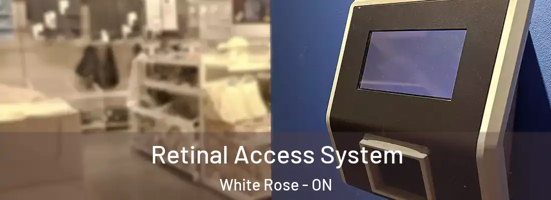  Retinal Access System White Rose - ON