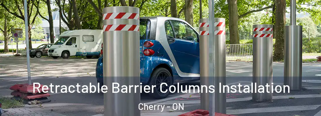  Retractable Barrier Columns Installation Cherry - ON
