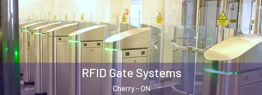  RFID Gate Systems Cherry - ON