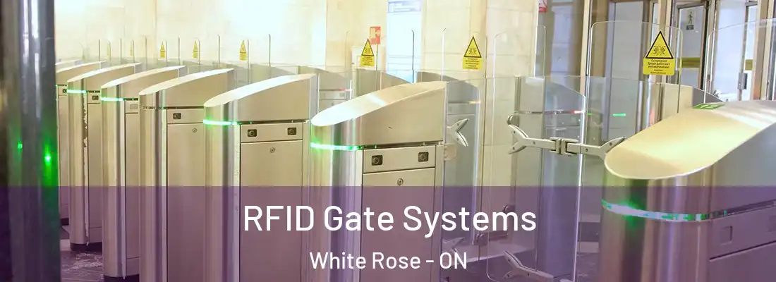  RFID Gate Systems White Rose - ON