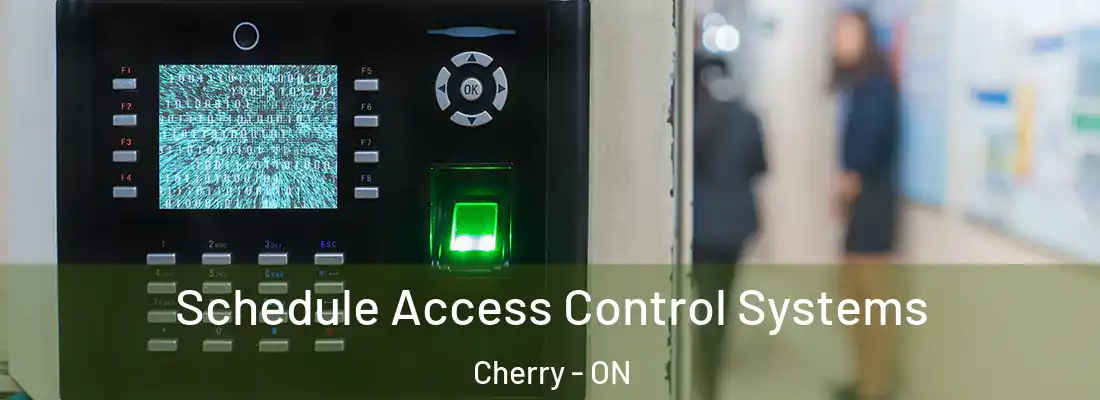  Schedule Access Control Systems Cherry - ON