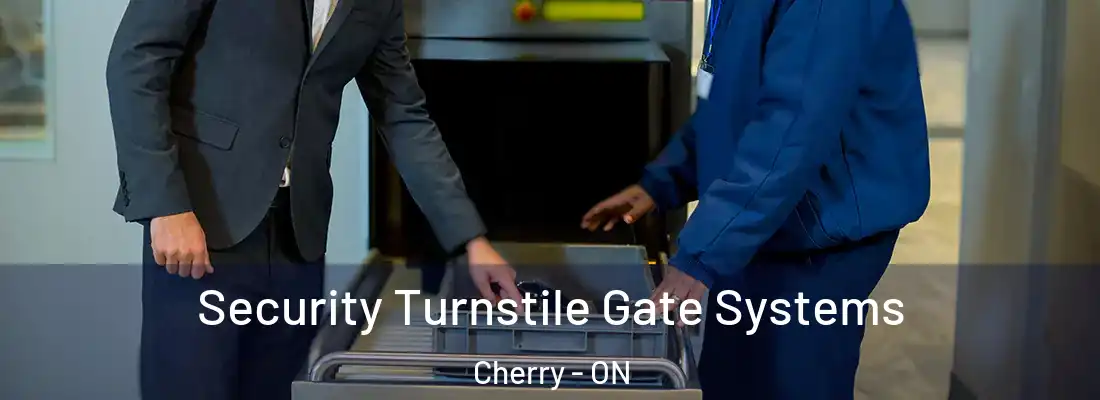  Security Turnstile Gate Systems Cherry - ON