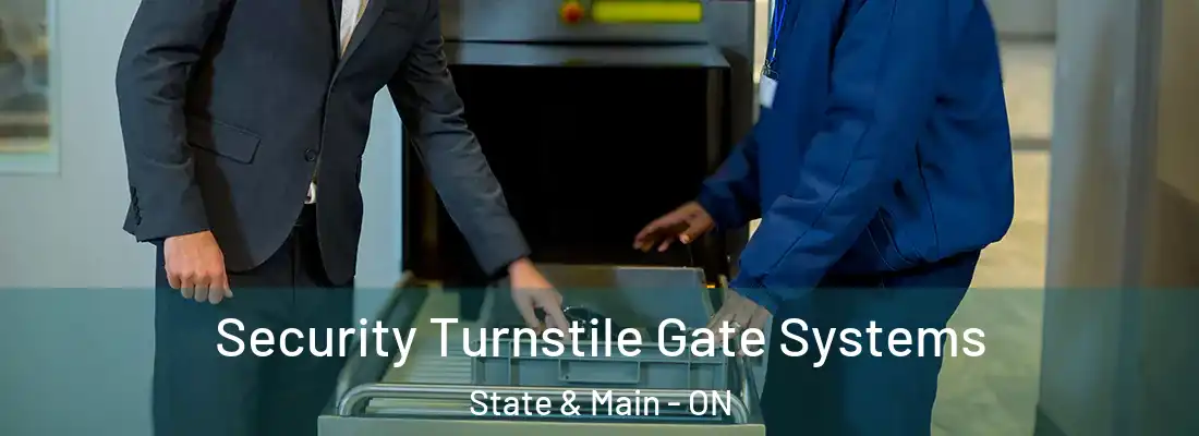  Security Turnstile Gate Systems State & Main - ON