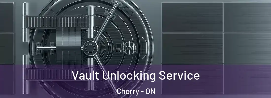  Vault Unlocking Service Cherry - ON